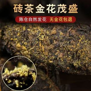 黑茶正宗湖南安化黑茶官方旗舰店正品安化黑茶金花茯砖茶陈年伏茶