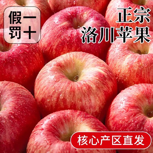 正宗洛川红富士苹果应当季新鲜水果陕西冰糖心整箱包邮脆甜现摘