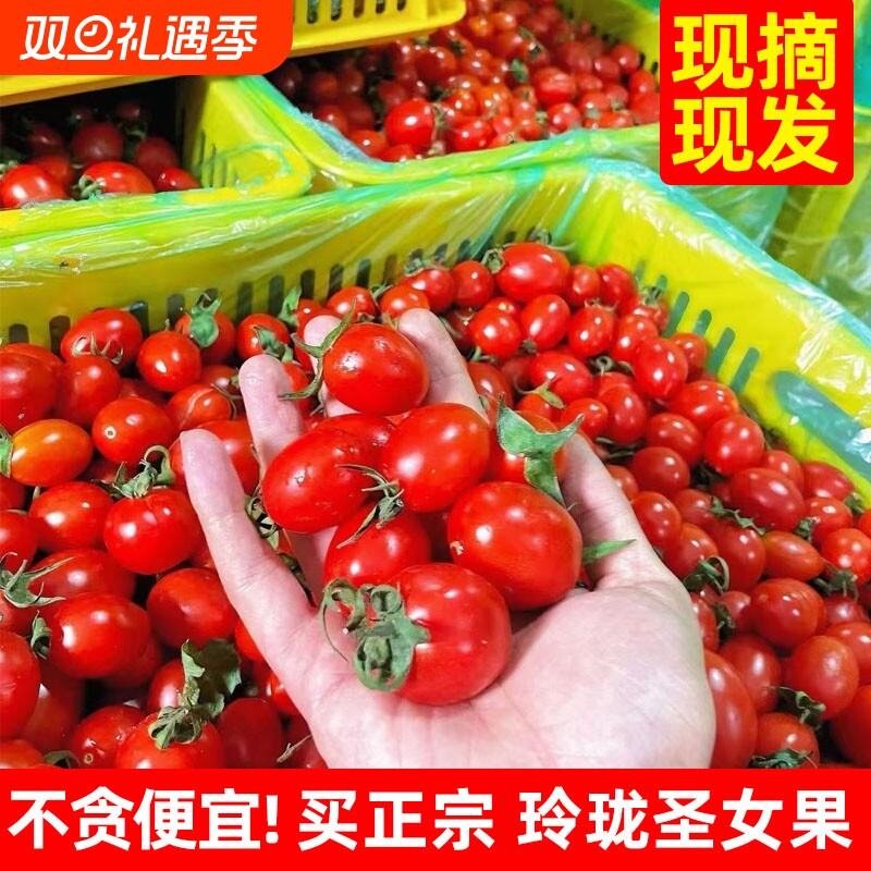 农家现摘玲珑圣女果3斤小番茄新鲜水果蔬菜当季时令小西红柿5