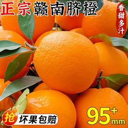 平晏果园正宗江西赣南脐橙橙子现摘寻乌脐橙当季新鲜孕妇水果精品
