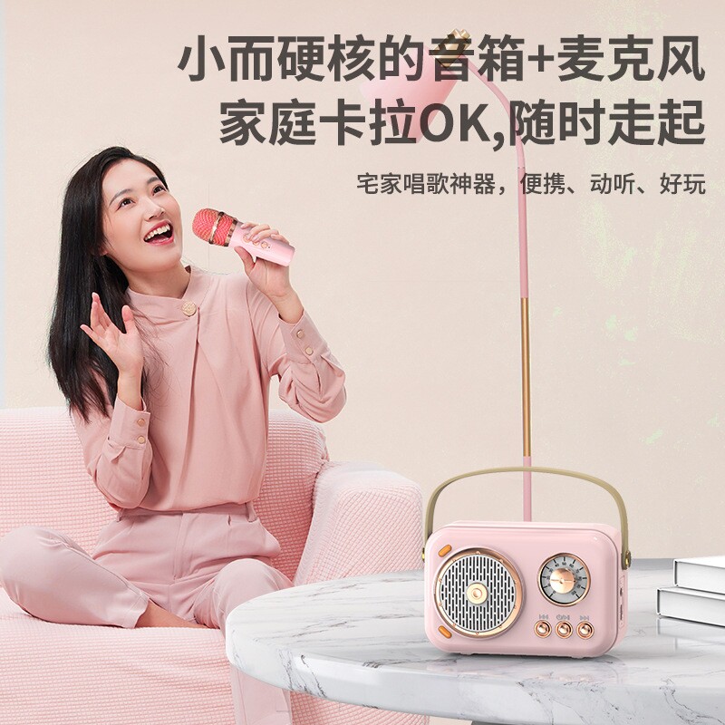 蓝牙音响迷你无线家用唱K歌一体麦克风双话筒音箱家庭话筒KTV套装