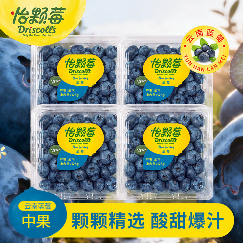 怡颗莓Jumbo新鲜水果云南蓝莓酸甜爆汁中果125g/盒农场一颗脆甜