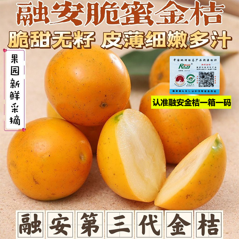 广西融安脆蜜金桔现摘一级纯甜新鲜孕妇水果冰糖甜心橘子顺丰包邮