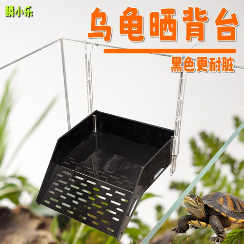 乌龟晒台爬台包邮亚克力