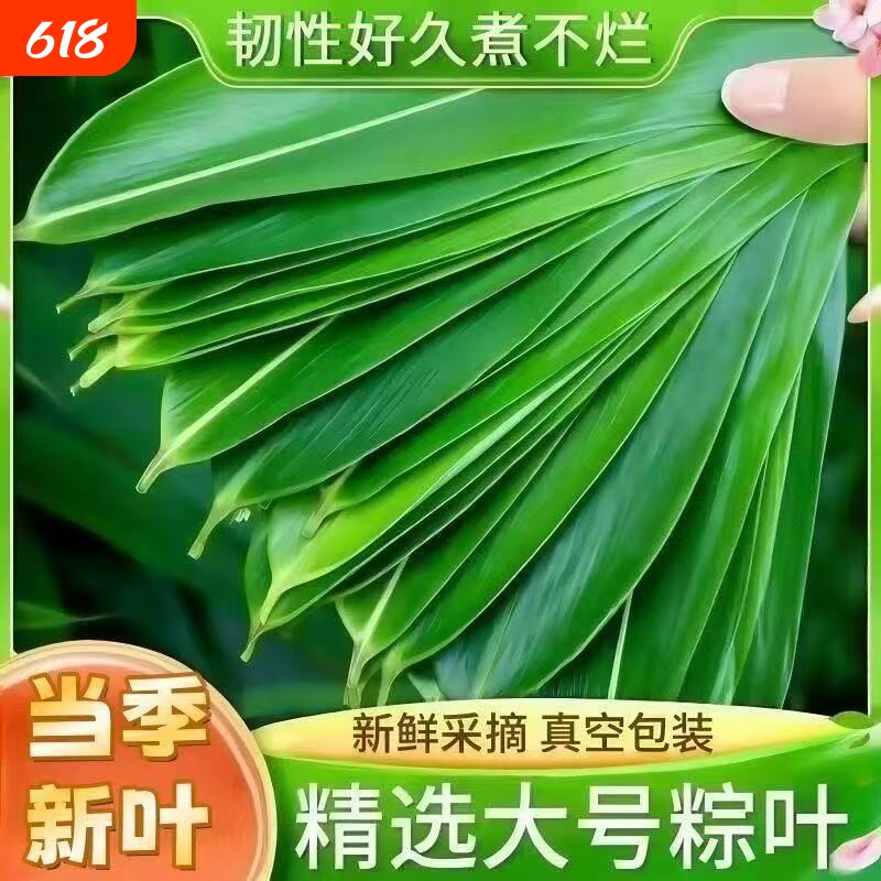 新鲜粽子叶批发家用粽叶家庭装鹤峰包粽子的叶子端午野生箬叶特大