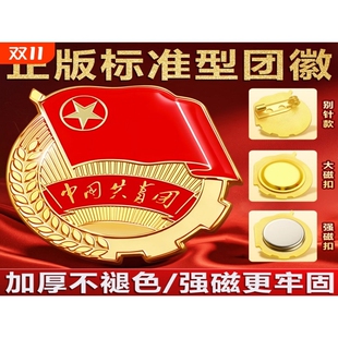 团徽2cm强磁磁吸胸针新版标准正版安全别针大磁铁中国共青团员徽章青年不易监制学校批发团购7新款带字蝴蝶扣