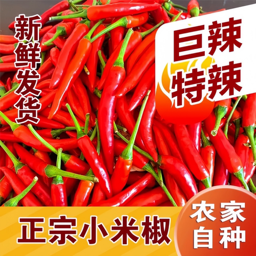 小米辣椒新鲜特辣朝天小米椒5斤红椒指薄皮辣椒农家自种商用批发