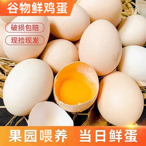 新鲜鸡蛋约50g/枚农家月子蛋新鲜早餐现捡现发谷物喂养