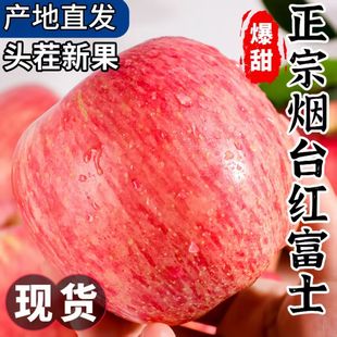 正宗山东烟台苹果脆甜栖霞红富士苹果酸甜当季新鲜水果整箱批发