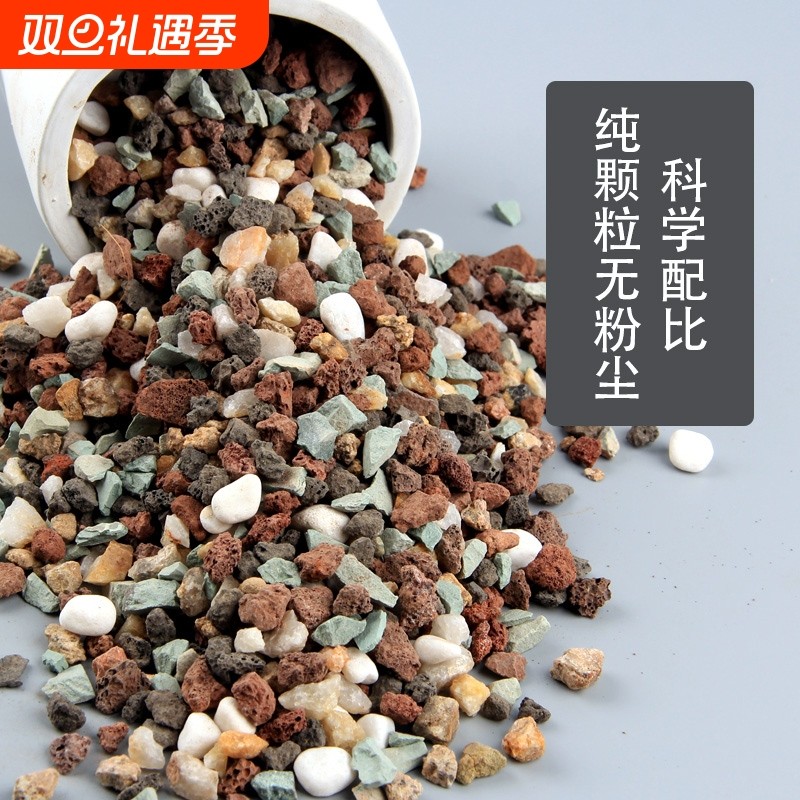 多肉颗粒土专用多肉种植颗粒植物营养土专用土壤麦饭石兰花铺面石