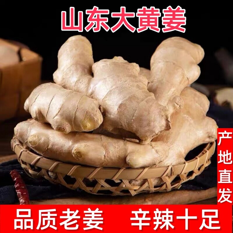 地头价正宗山东生姜大姜3斤/5斤新鲜农家老黄姜月子干姜农家种植