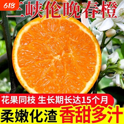 正宗伦晚脐橙春橙秭归橙子当季新鲜水果整箱果冻甜榨汁大果现摘