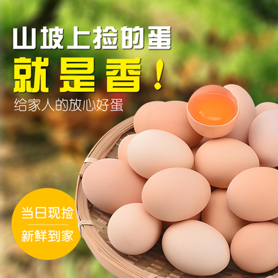 正宗土鸡蛋农家散养草鸡蛋新鲜月子蛋笨鸡蛋散养柴鸡蛋早餐多规格