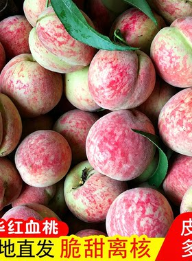 老树血桃新鲜桃子5斤脆甜红肉桃当季现摘红心毛桃整箱离核中华