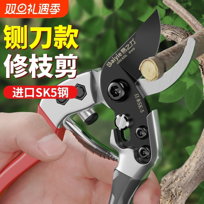 日本进口园艺剪刀修枝园林剪枝修花sk5剪树枝专用果树花艺剪枝剪