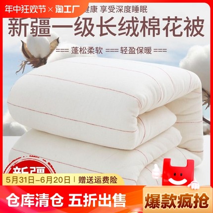 新疆一级长绒棉被棉花被子被芯棉絮床垫被褥子全棉纯棉花冬被冬季