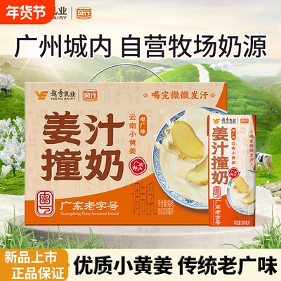 风行牛奶姜汁撞奶200ml*10盒整箱女生秋冬暖胃营养早餐奶老广风味