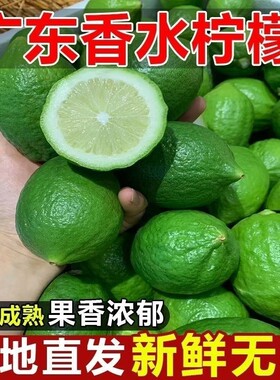 茶饮专用手打柠檬无籽香水柠檬