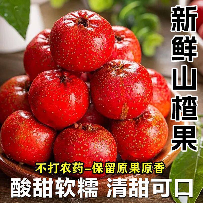 山楂果新鲜山楂头茬开胃山楂鲜果大金星大五棱可做糖葫芦批发水果