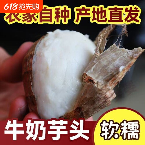 24年山东奶芋头牛奶新鲜毛芋头现挖奶油芋艿软糯当季蔬果香芋自种