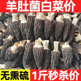 云南特产羊肚菌干货新鲜牛肚菌菇煲汤食材农家香菇非野生年货美味