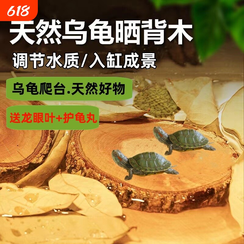 乌龟晒背台龙眼木爬台高水位天然防腐烂甲造景摆件沉木龟缸养龟