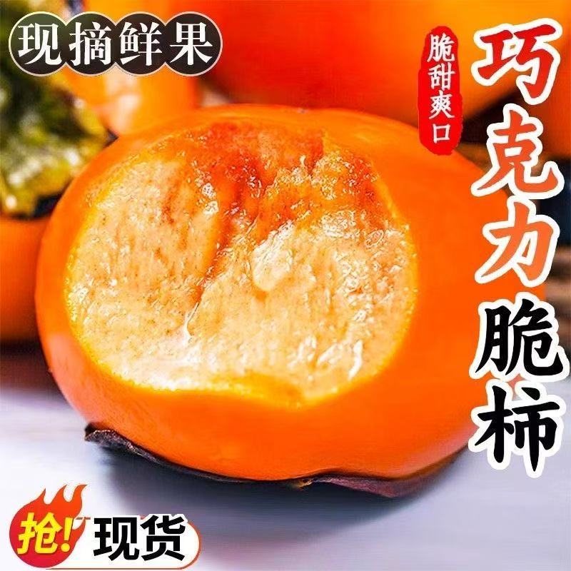 正宗脆柿子脆甜巧克力柿子甜脆柿无核冰糖心脆柿新鲜应季水果批发