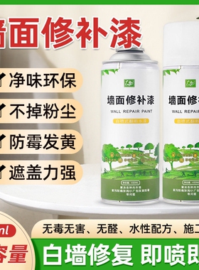 墙面自喷漆白色乳胶漆防潮防水防霉腻子粉家用内墙修补膏修复补漆