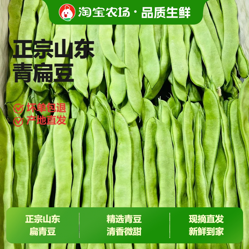 山东优质露天青扁豆刀豆四季豆芸豆豆角新鲜应季蔬菜豌豆产地直发