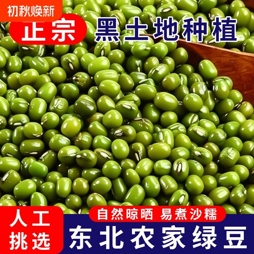 东北农家绿豆新鲜杂粮绿豆汤煮粥