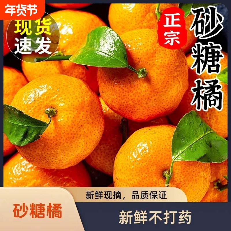 正宗广西砂糖橘新鲜水果5斤当季蜜桔金秋沙糖桔橘子贡柑整箱包邮,水产肉类/新鲜蔬果/熟食,桔子,淘宝优惠券,粉丝福利购,淘宝优惠卷