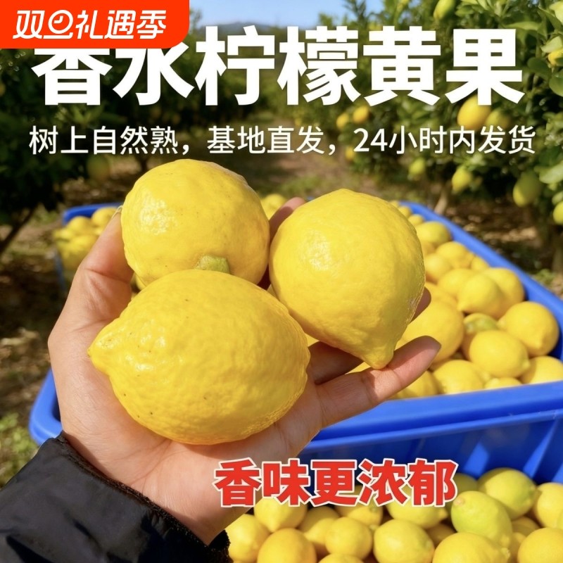 广东黄香水柠檬新鲜当季水果暴打柠檬茶黄柠檬奶茶店专用无籽现摘
