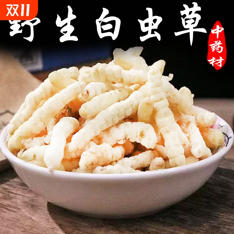 野生草石蚕地蚕材500克云南土冬虫草白虫草泽兰根地参虫草参