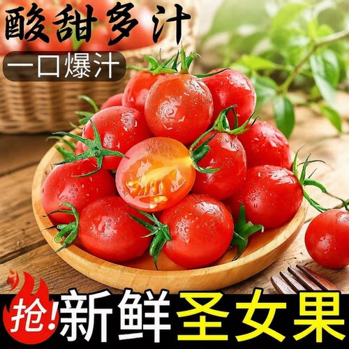 圣女果新鲜红色樱桃小番茄时令现货孕妇水果包邮一颗自提自然熟