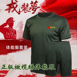 正版夏季橄榄绿武术体能服上衣短袖速干体能服套装训练服短裤作训