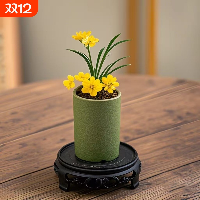 迷你文人草麦冬盆栽盆景室内绿植花卉桌面办公室好养植物四季客厅