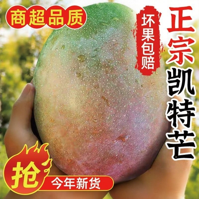 四川攀枝花凯特芒果当季新鲜水果现摘超甜彩虹芒大青吉禄芒果整箱