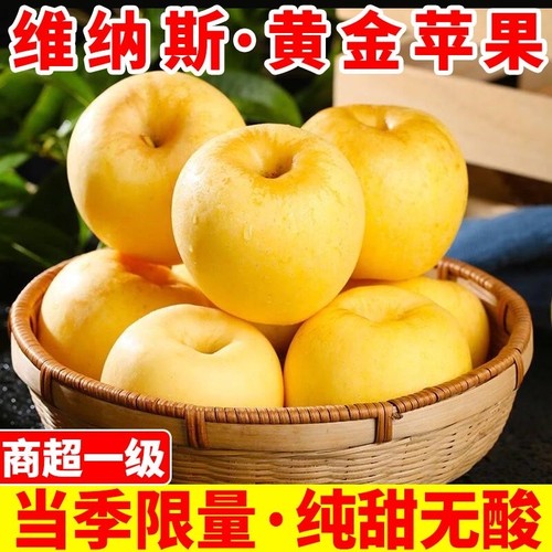 正宗山东维纳斯黄金苹果脆甜非黄元帅奶油富士丑新鲜当季现摘苹果