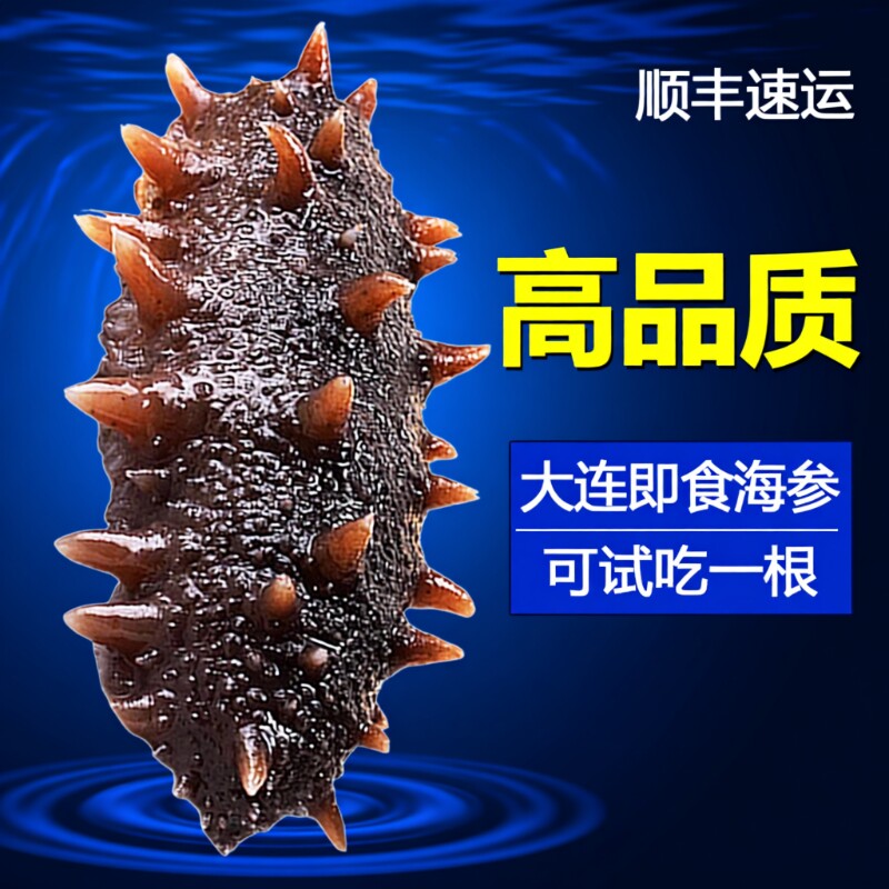 海参即食大连刺参辽参辽宁野生海参500g鲜活冷冻水产底播年货节
