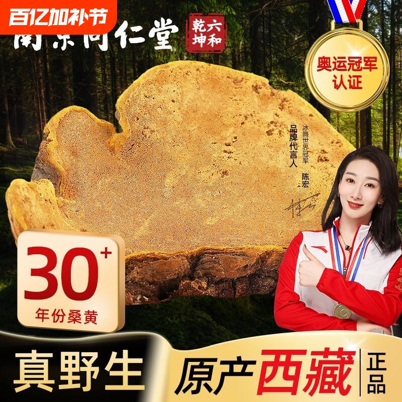 南京同仁堂桑黄西藏林芝野生茶林芝泡酒官方正品旗舰店AA藏红花