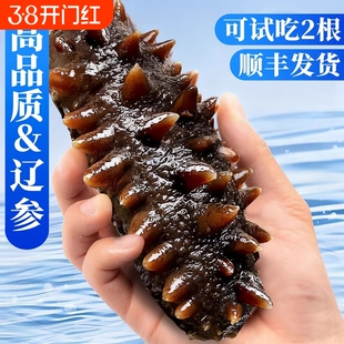 大连海参鲜活辽参即食鲜食野生海渗开袋干货礼盒水产冷冻年货节