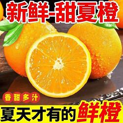 正宗湖北秭归脐橙当季时令水果新鲜甜榨汁专用早橙子夏橙应季包邮