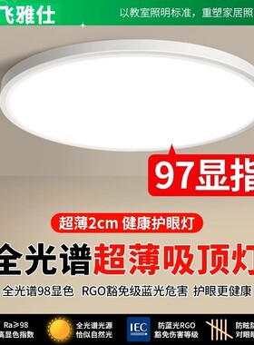飞雅仕简约现代卧室护眼吸顶灯