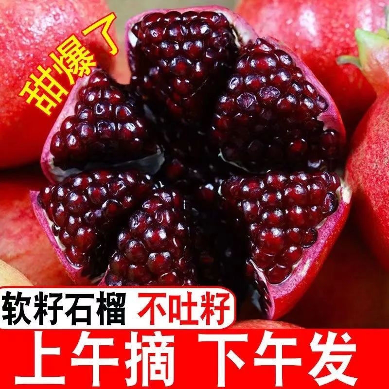 四川会理突尼斯软籽石榴红宝石