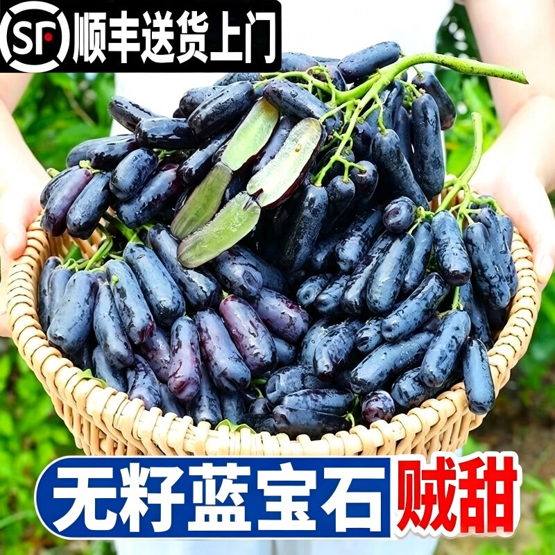 蓝宝石葡萄金手指鲜无籽黑提顺丰图片