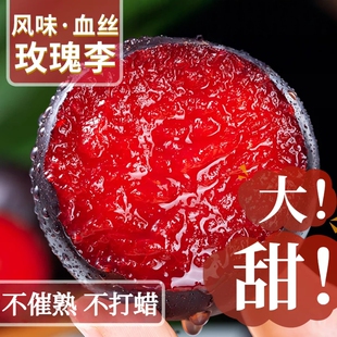 玫瑰5斤新鲜水果黑布林大玫瑰李红心鸡血李三华应季鲜果现摘脆甜