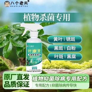 清菌叶康灵专克叶斑白粉快速修复病斑让叶片重焕油绿健康促新生