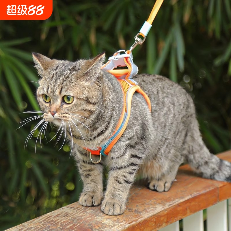猫咪牵引绳防挣脱专用猫绳小型