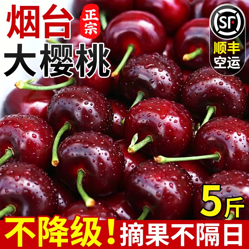 新鲜水果当季大樱桃正宗山东美早樱桃国产车厘子大果新鲜现摘包邮