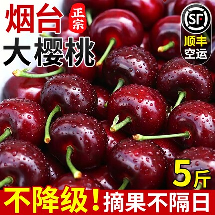 新鲜水果当季大樱桃正宗山东美早樱桃国产车厘子大果新鲜现摘包邮